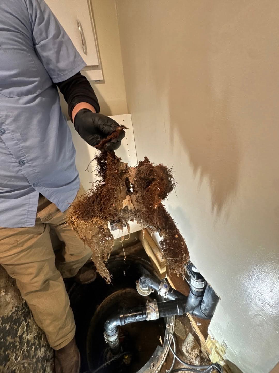 Tree roots growing inside a home's sewage pump basin